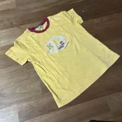 Item thumbnail for item 8ee0e2f4-e4c5-4c33-b295-52ab085a65a2