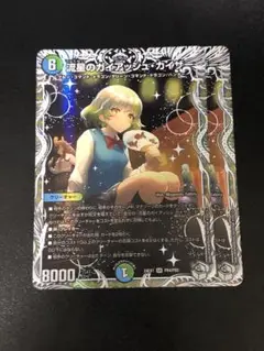 流星のガイアッシュカイザー キャラプレミアムトレジャー　②