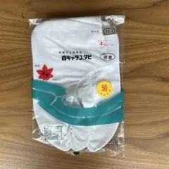 Item thumbnail for item df0516fc-1c86-4495-a034-7b74f4161d82