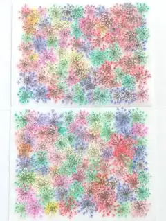 押し花 素材 訳あり レースフラワー No.22