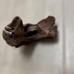 ダークブラウン流木 自然な形状