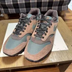 airmax1 beef&broccoli