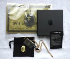 Item thumbnail for item 177010bb-40c0-4743-a1b8-bca5802629e7