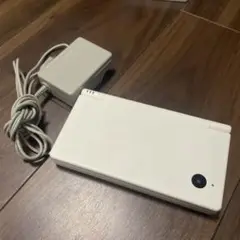ニンテンドーDSi ホワイト 本体と充電器付き