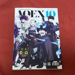 未使用 青の祓魔師 クリアブックカバー 創刊10周年記念フェア 未使用 青の祓魔師 クリアブックカバー 創刊10周年記念フェア