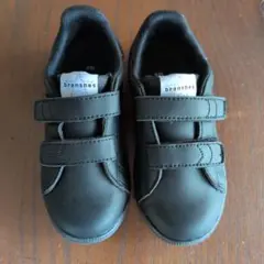 Item thumbnail for item 8eabde51-e661-4da4-9e08-a50f0e0e07bb