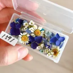1591 ドライフラワーの小花セット
