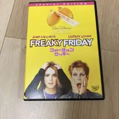 フォーチュン・クッキー 特別版('03米)