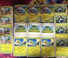ポケカ メガフシギバナex 進化ラインセット