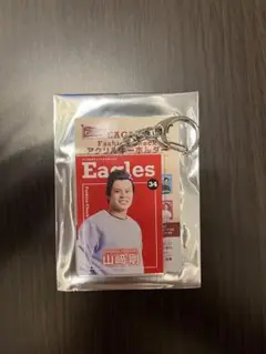 東北楽天ゴールデンイーグルス 34 山﨑剛