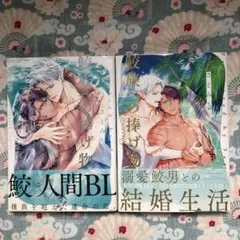 鮫族への捧げ物　after marriage さとみち　人外BL