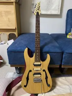 Ibanez PGM80P-NT　ポール・ギルバート　シグネチャー　エレキギター 2025年最新】ibanez PGMの人気アイテム - メルカリ