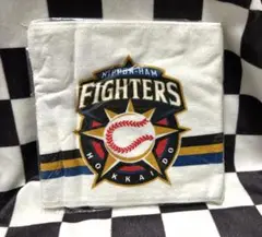 FIGHTERSタオル