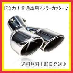 ★★【新商品】★マフラーカッタ 2本出し 大 普通車用 ステンレス