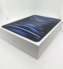 Apple iPad Pro 11インチ128GB （第4世代） 【展示美品】