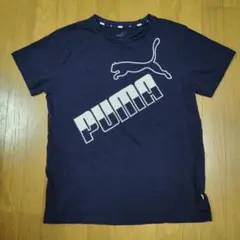 PUMA ネイビー Tシャツ