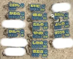 【8.25更新1点150円〜】栃木SC 2025 グッズ バラ売り