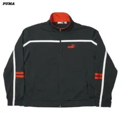 PUMA Track Jacket L JA25014