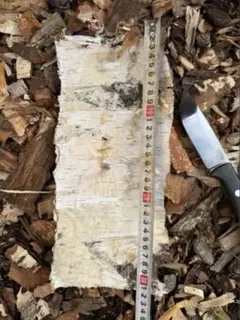 Item thumbnail for item 1a0448ae-6f49-40e3-ac45-857eddbf44eb