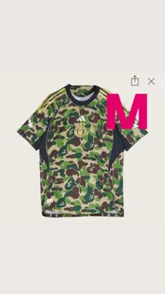 Item thumbnail for item d660f06c-7d57-4f72-bcd3-c3d7b8473164