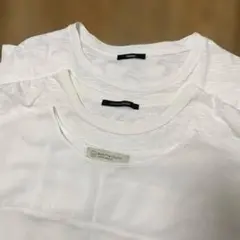【3点まとめ売り】ホワイトTシャツブラウス セオリー