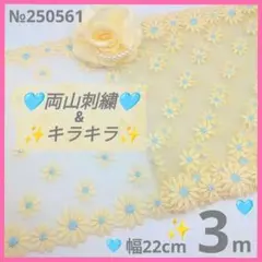 №250561　チュールレース