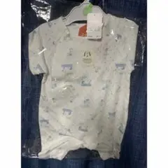 Item thumbnail for item 34527918-5103-4790-8781-716a393e7f0b