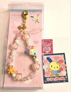 ウサハナセット