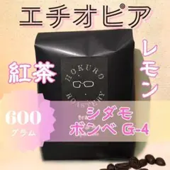【大容量特価】エチオピア シダモ ボンベG4 ナチュラル 600g 自家焙煎