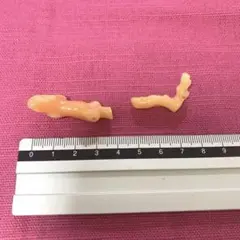 ピンク色珊瑚　珊瑚原木
