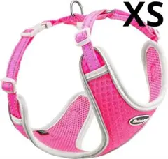 Item thumbnail for item c787f020-1554-49f4-a81e-c6885098a26c