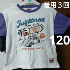 しまむらサーフくまカーラグランＴシャツ紫120ブリーズデビロック好きに
