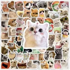 にゃんちゃんシール1 猫ステッカー 100枚 防水ステッカー スーツケース