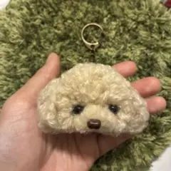 ＊うるうるトイプードル　毛糸キーホルダー＊アプリコット　ぬいぐるみマスコット　犬