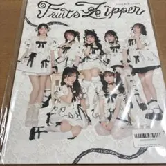 FRUITSZIPPER LARME雑誌