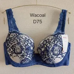 Item thumbnail for item 3fb93e4b-42d2-4ba3-92aa-87ff44e72d4d