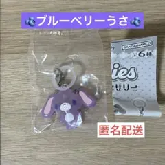 ☆匿名配送☆ ブルーベリーうさ シュガーバニーズ めじるしアクセサリー サンリオ