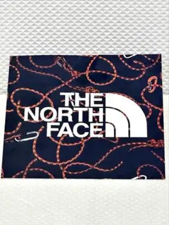 ノースフェイス ステッカー シール THE NORTH FACE ロゴ入り