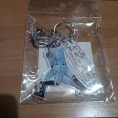 西武ライオンズ ネビデビキーホルダー