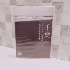 千葉 サーフィン道場の知られざる日常 DVD