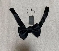 Item thumbnail for item 7d1729cd-f3bb-4e93-8661-bbce8915c3b3