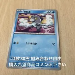 セビエ　在庫3