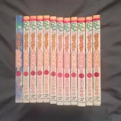 ぷりんせすARMY　全巻セット　12巻