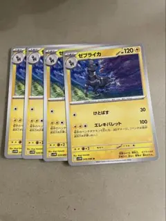 ゼブライカ　４枚