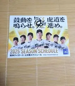 阪神タイガース 2025年公式スケジュール