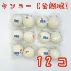 【KENKO】ケンコー ソフトテニス ボール 公認球 12球セット【新品】