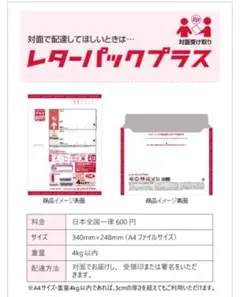 レターパックプラス A4サイズ 2枚