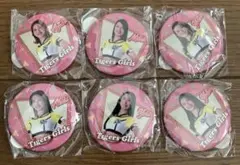 タイガースガールズ 甲子園限定ガチャ 缶バッジ 阪神タイガース たチアリーダー