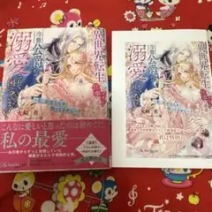 異世界転生して、メイドの仕事に邁進したら、冷徹公爵から溺愛されて困っています!…