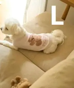 Item thumbnail for item 8da9cda8-b5e5-4e5f-8c49-db925b59f608